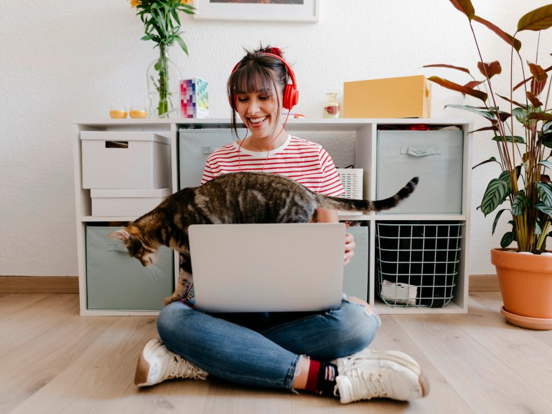 frau sitzt am laptop mit katze auf dem schoß