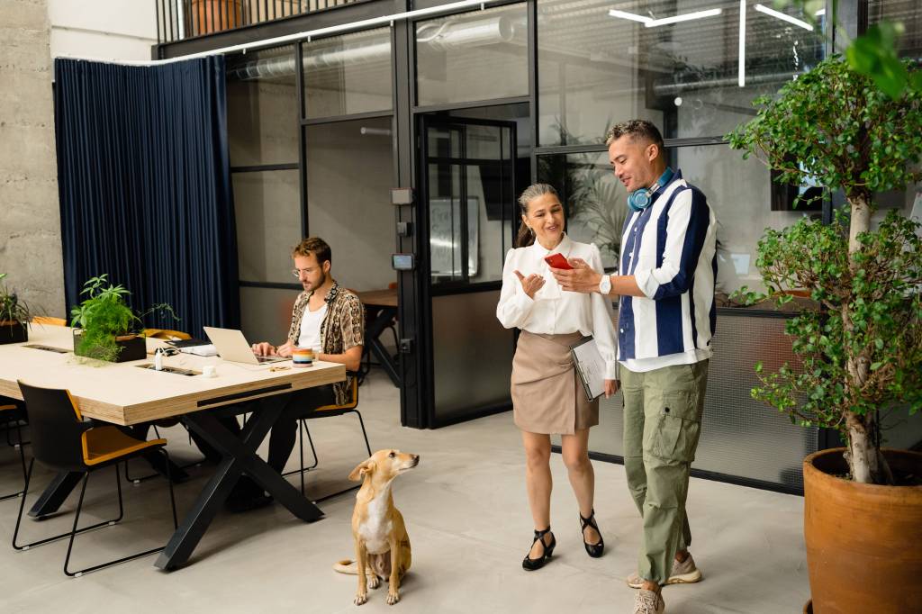 Hund im Büro