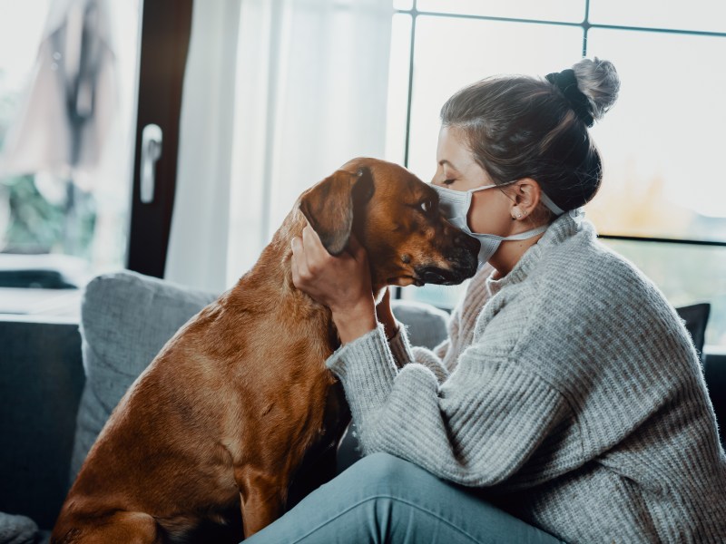 Frau mit Maske sitzt mit Hund auf dem Sofa und kuschelt ihn.