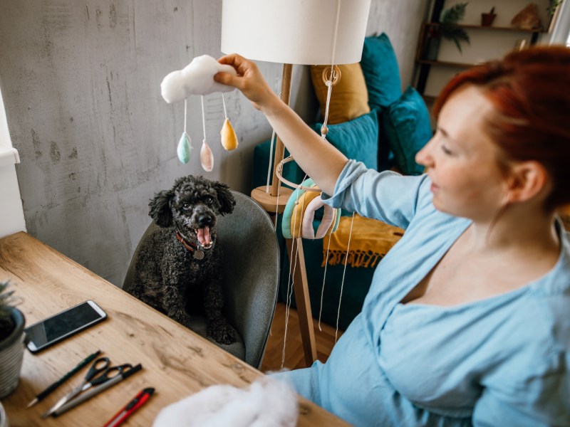 Frau mit Hund