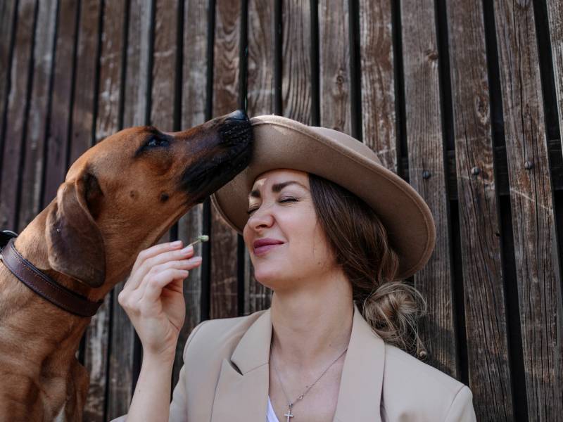 Hund riecht Angst an Frau