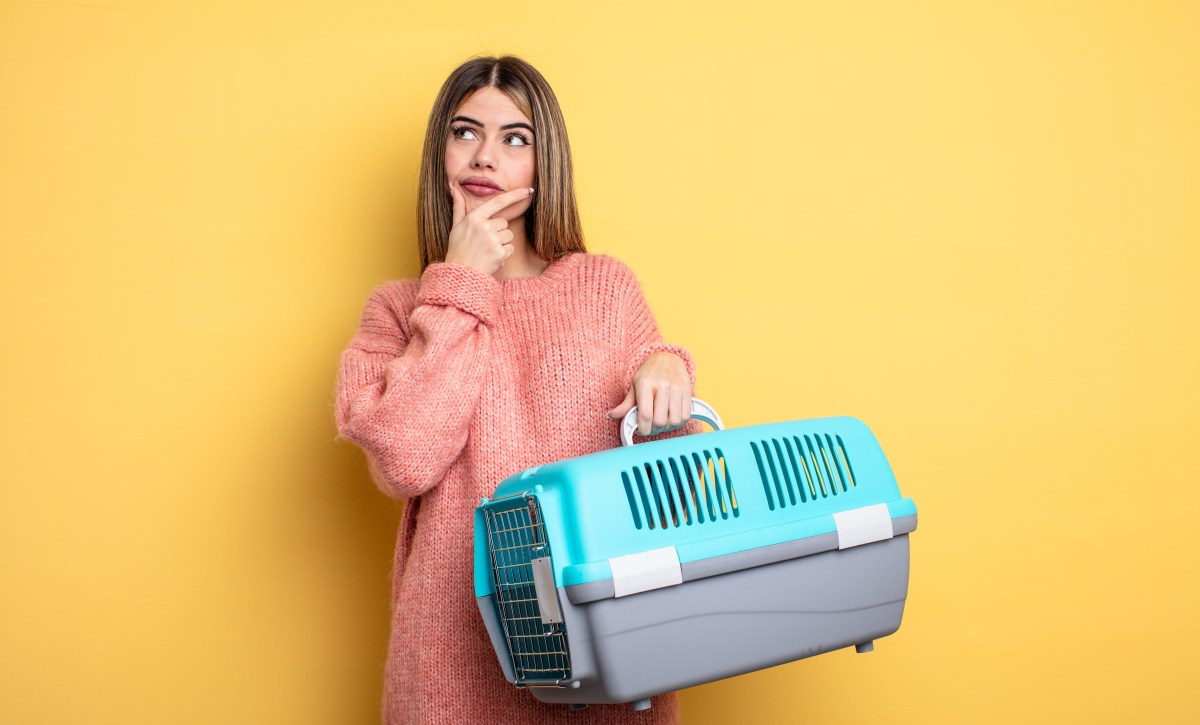 Junge Frau trÃ¤gt einen Transportbox in der Hand.