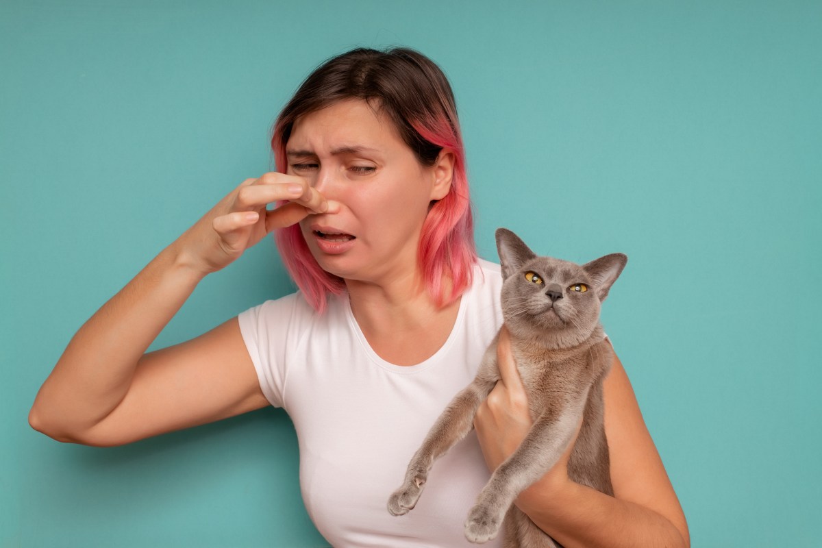 Frau hält sich die Nase zu und hält eine Katze auf dem Arm.