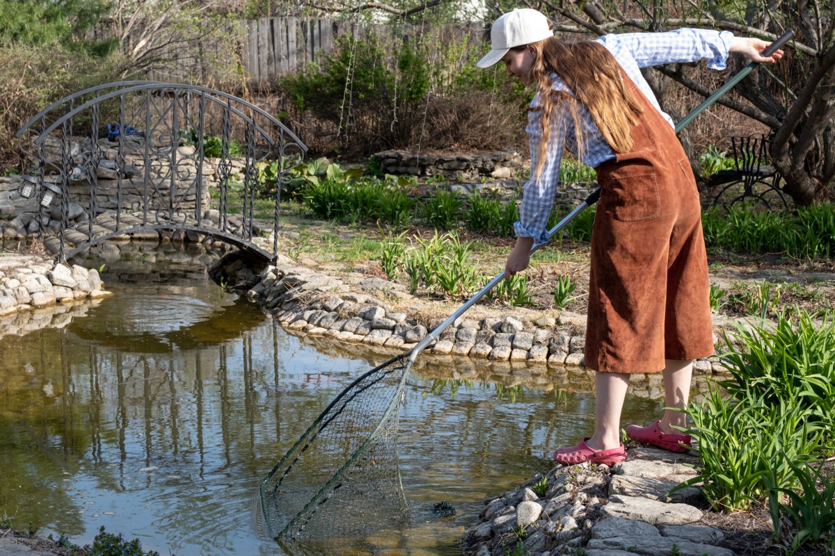 Frau holt Algen aus dem Teich