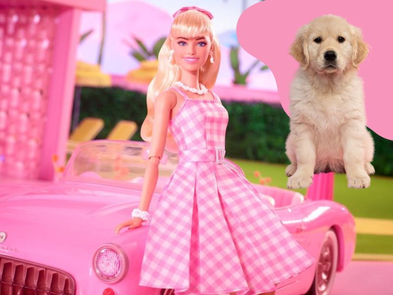 Barbies Hunde