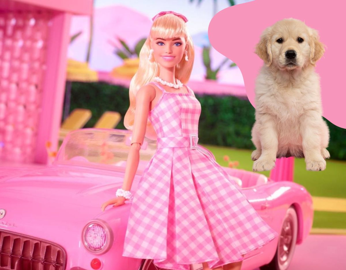 Barbies Hunde