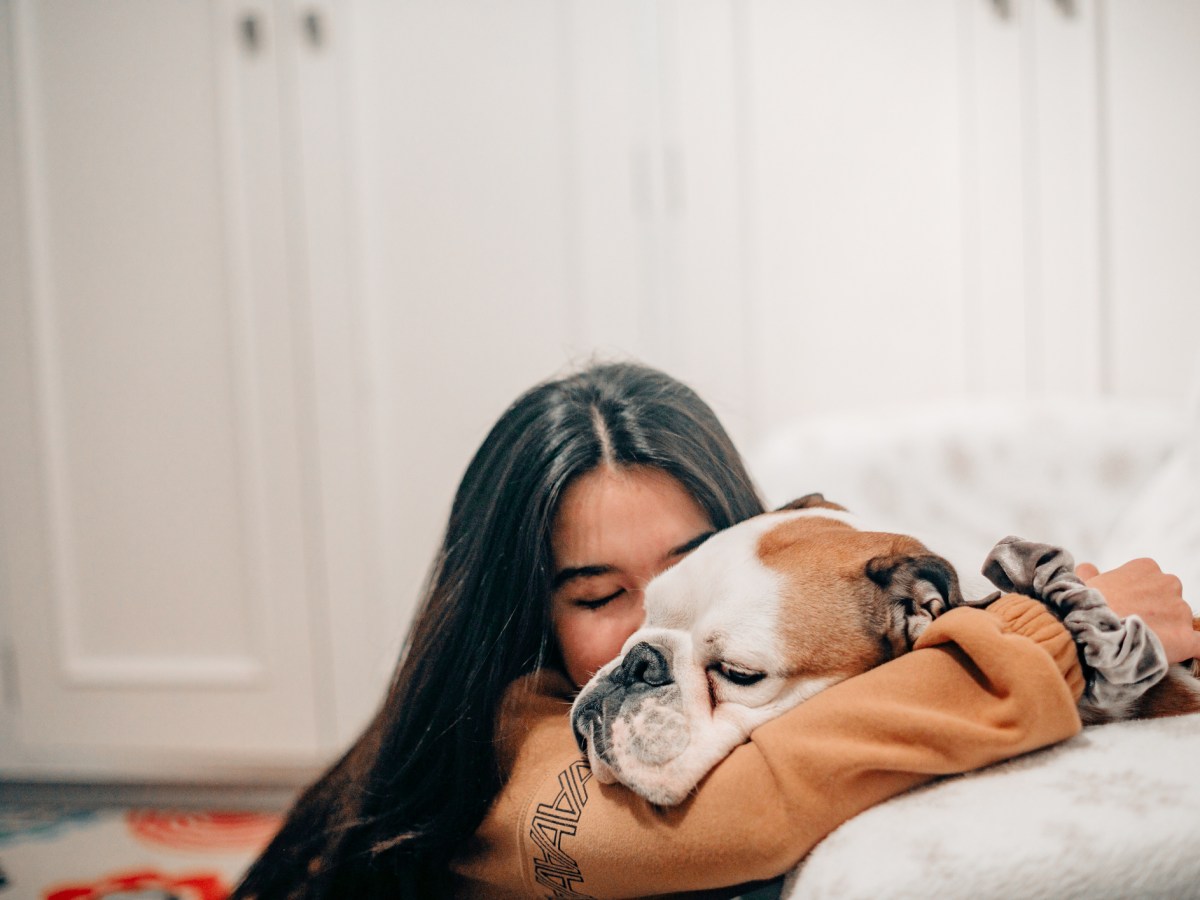 Beim Hund entschuldigen: 3 Möglichkeiten, wie er es versteht