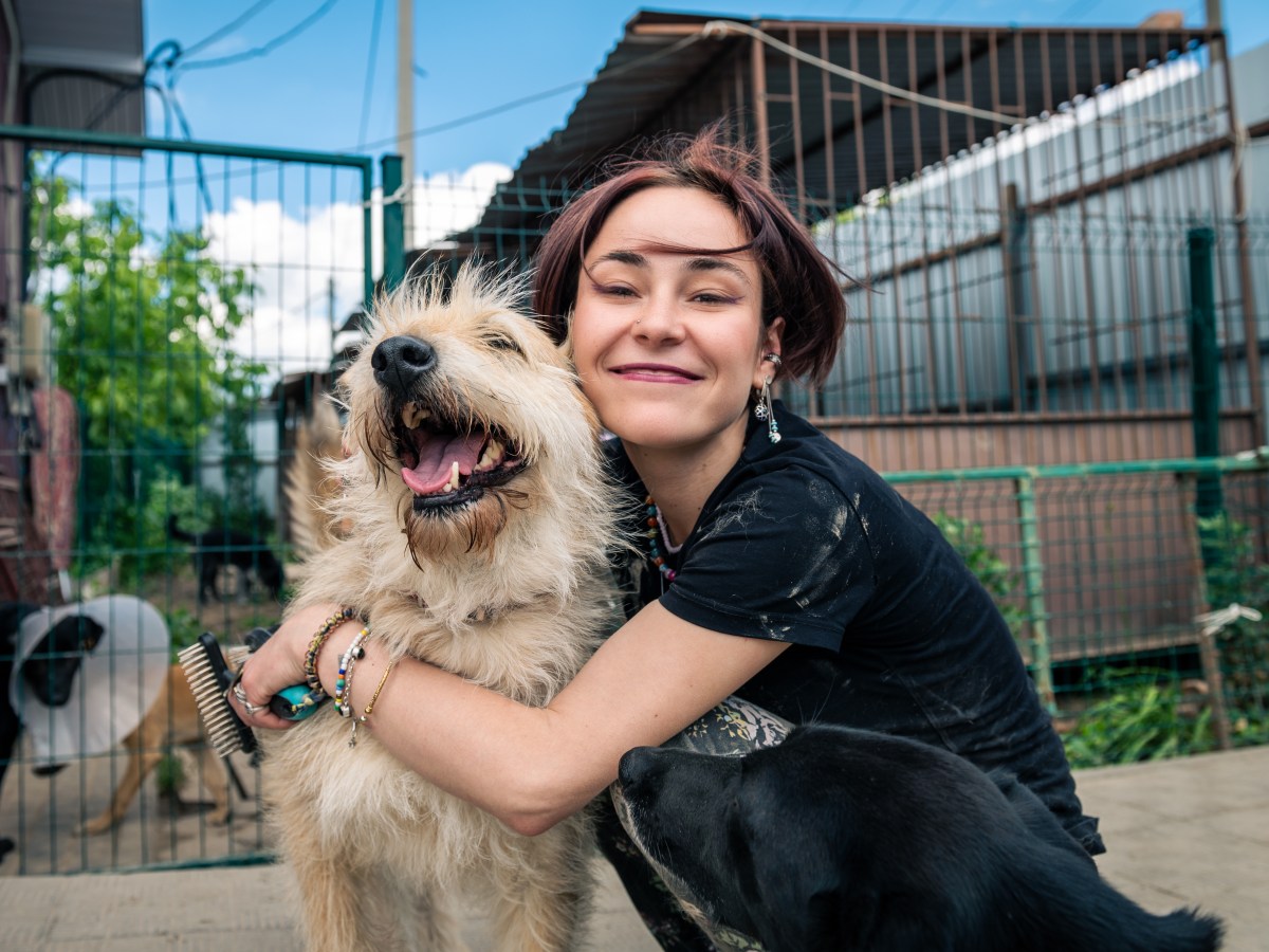 Hund: Wie viel kostet eigentlich ein Hund aus dem Tierheim?