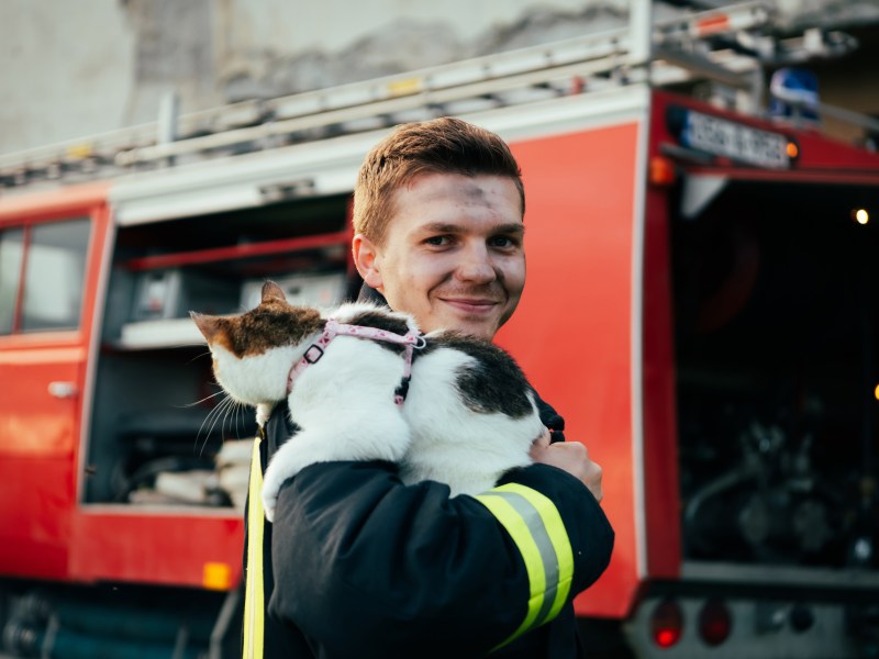 Katze auf dem Arm eines Feuerwahrmannes.