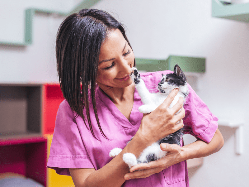 Frau hat Katze im Tierheim auf dem Arm.