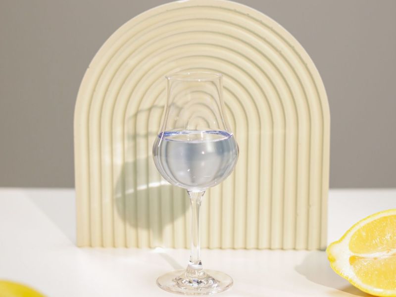 Wasserglas mit Zitronen