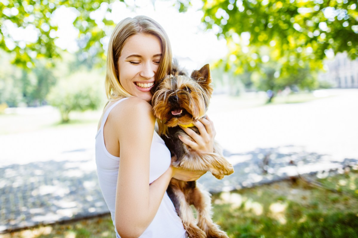 Frau will Hund an den Ohren massieren im Park