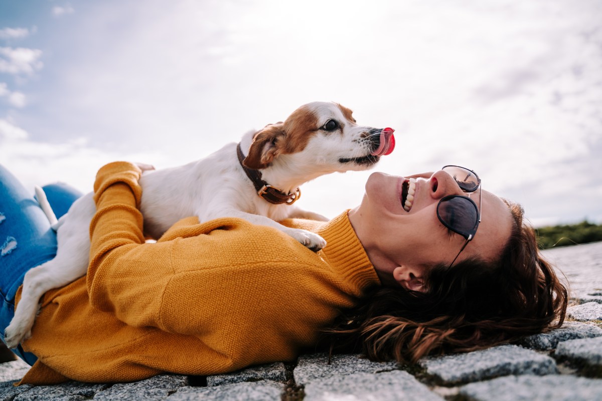 Hund schleckt Frau das Gesicht ab