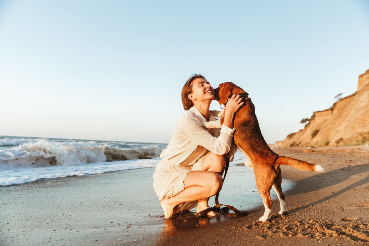 Hund am Hundestrand mit Frau