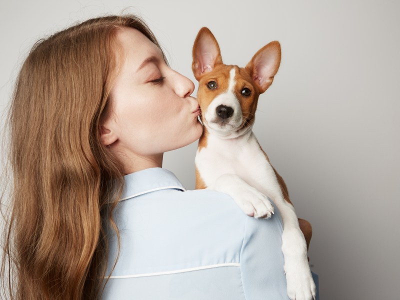 Frau hat Basenji Hund auf dem Arm und gibt ihm einen Kuss