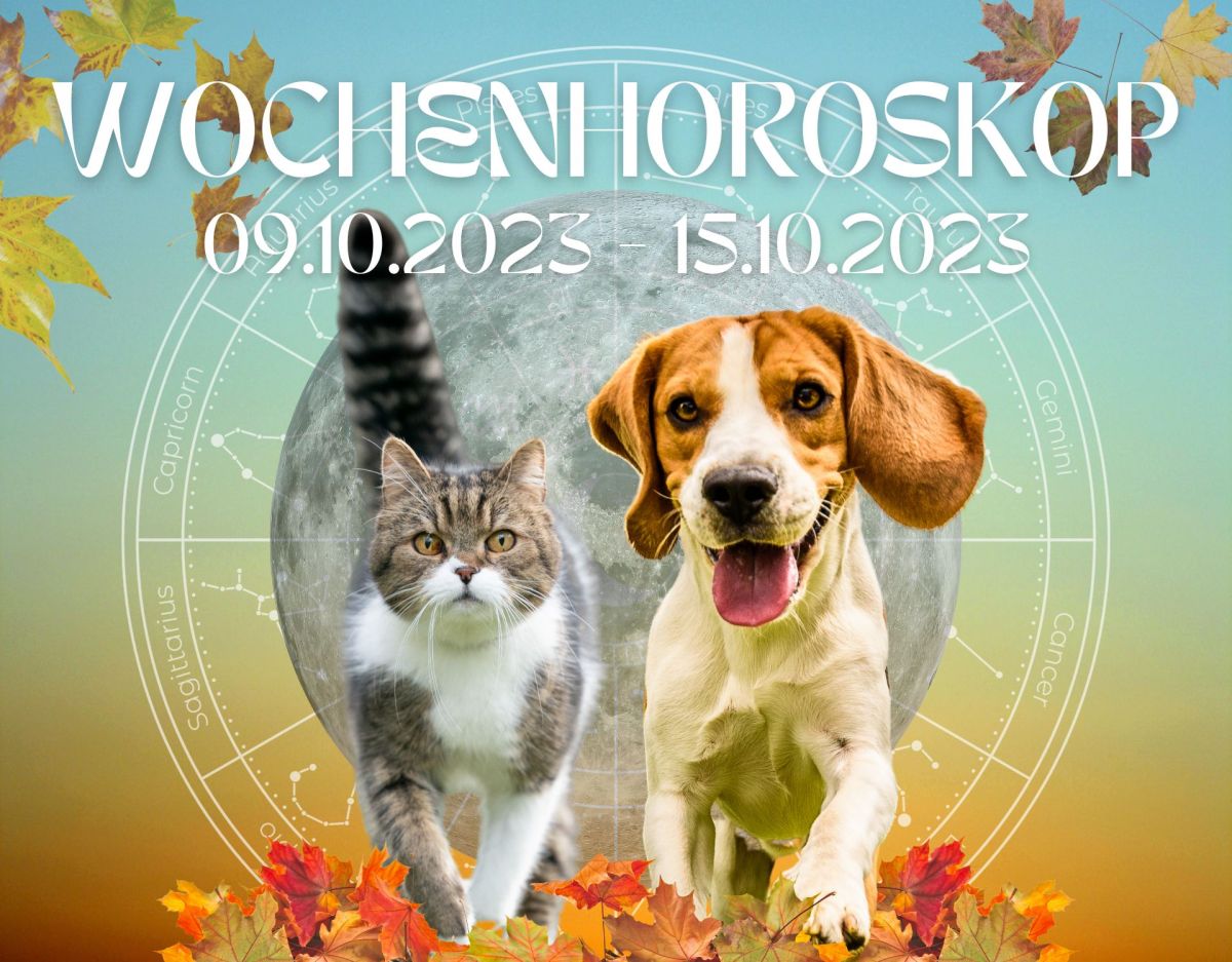 Wochenhoroskop Haustiere 09.10.2023 - 15.10.2023