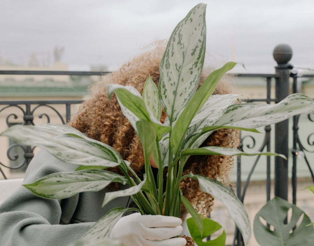 Frau mit Balkonpflanze