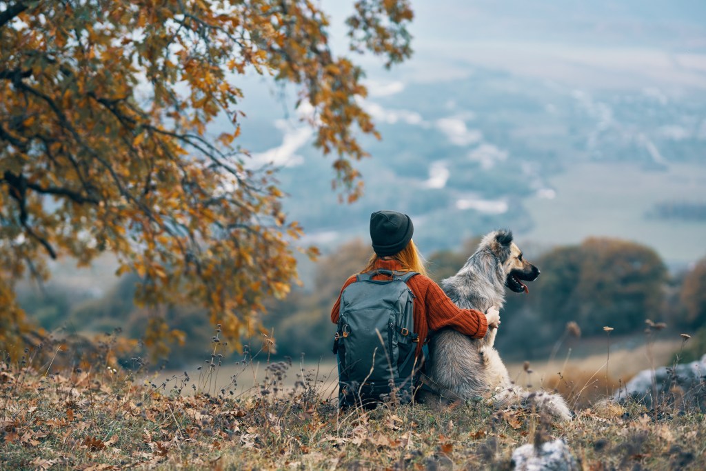 Hund mit Frauchen