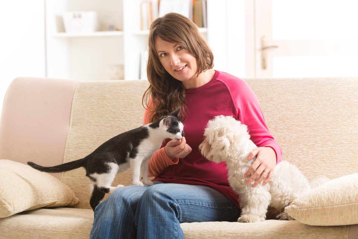 Frau gibt Hund und Katze Fürsorge auf dem Sofa