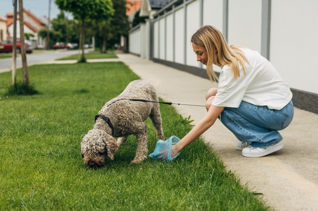 Frau hebt Hundekot auf