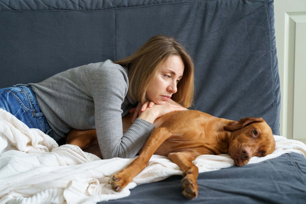 Frau tröstet Hund