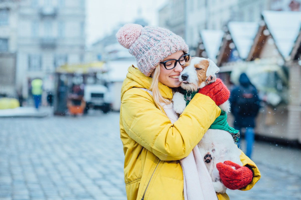 Hund auf dem Weihnachtsmarkt