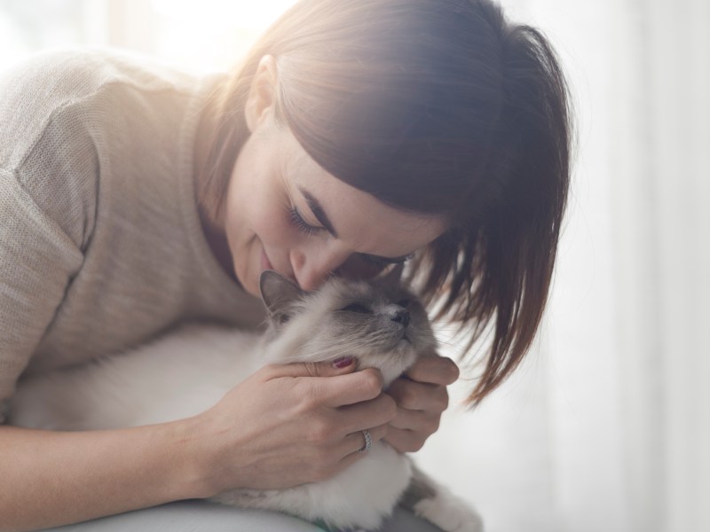 Verschmuste Katzenrassen Frau kuschelt mit Katze