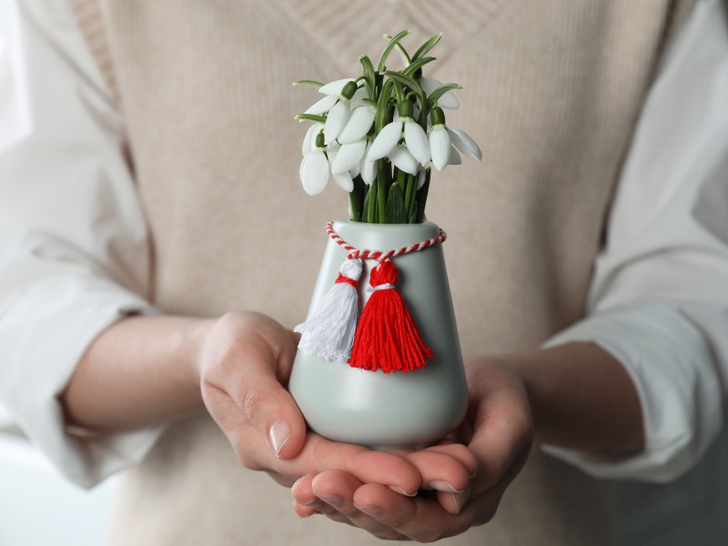 Schnittblumen im Frühling