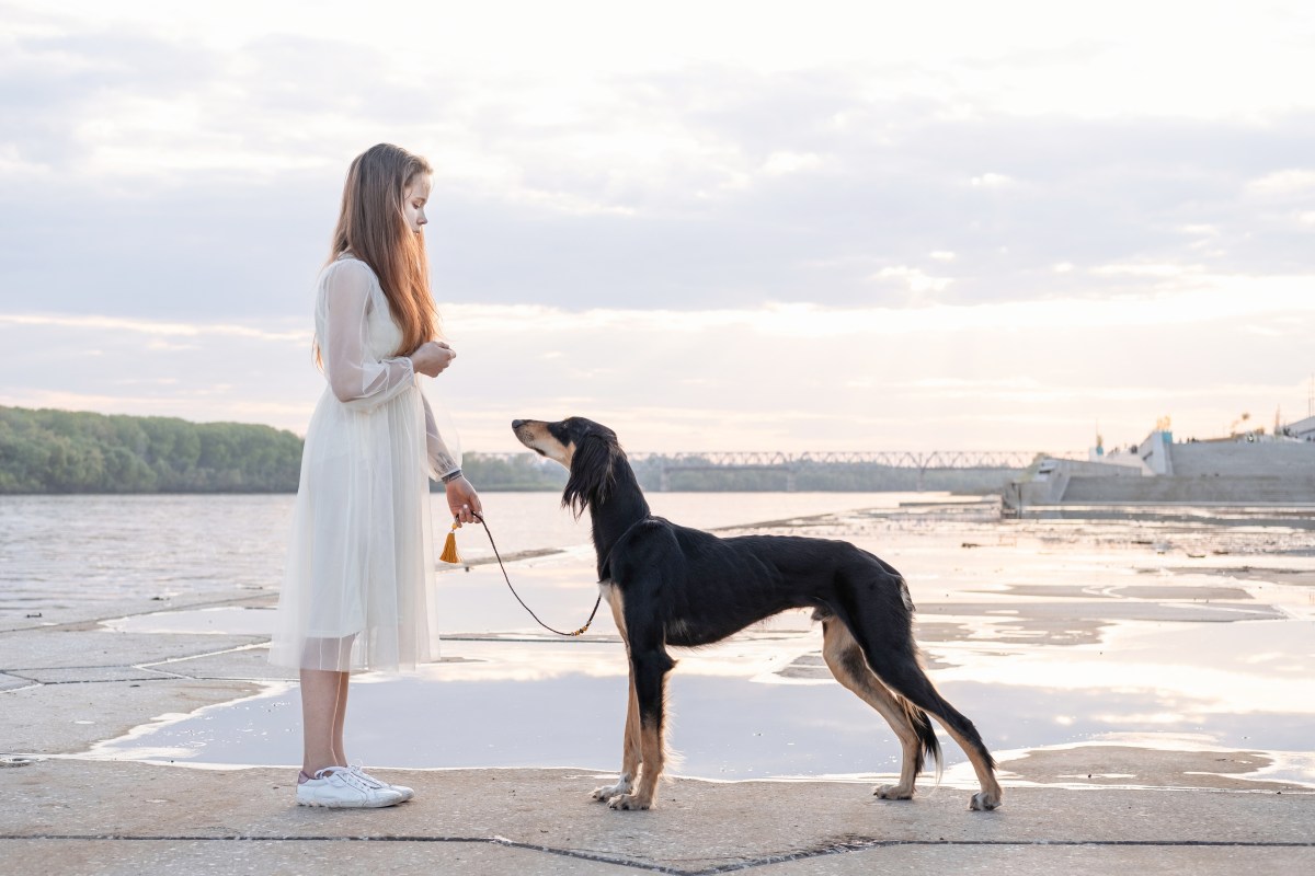 Frau mit Windhund