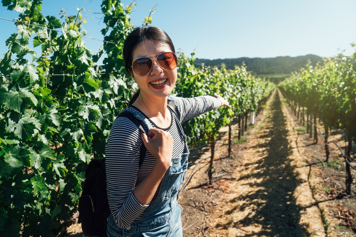 Frau in Napa Valley: Reiseziel für Weinkenner und das Sternzeichen Stier