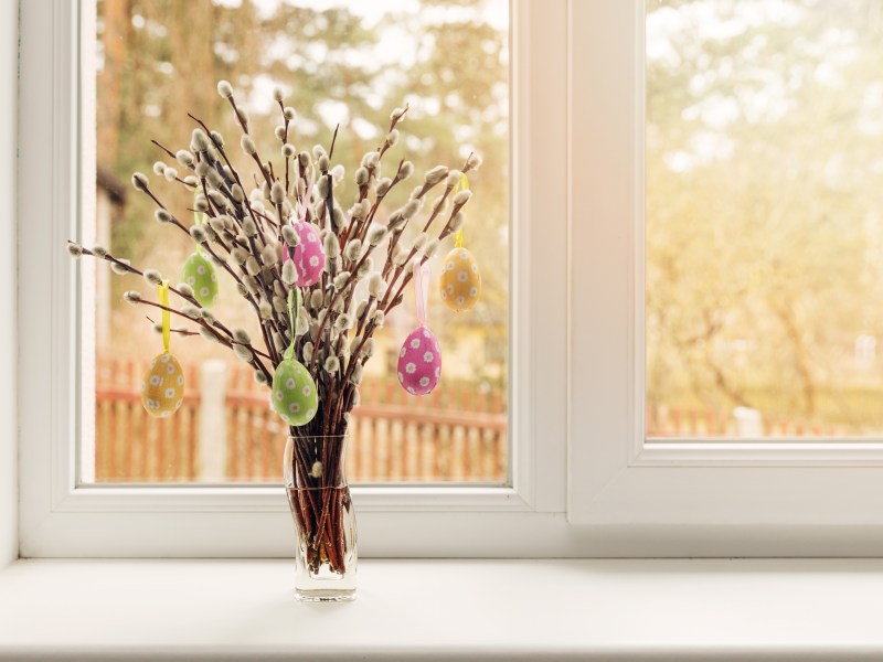 Blumen auf der Fensterbank