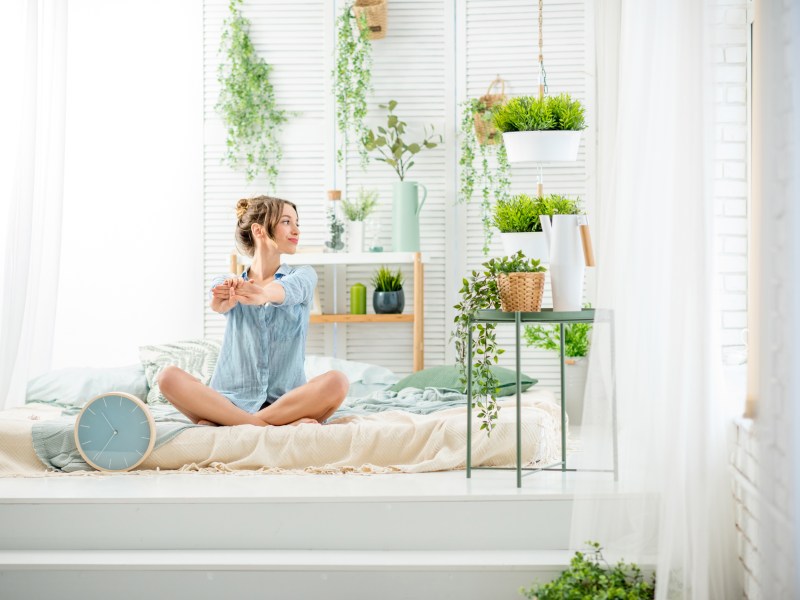 Pflanzen im Schlafzimmer