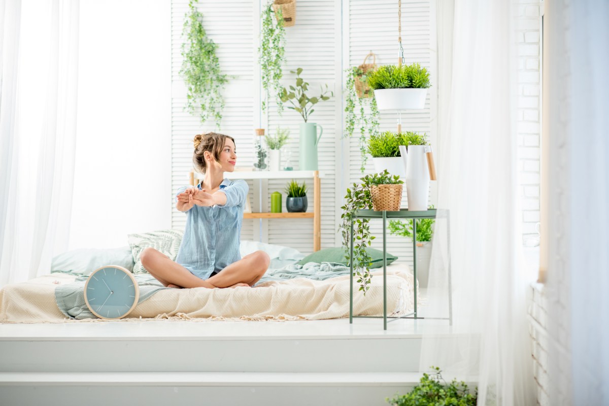 Pflanzen im Schlafzimmer