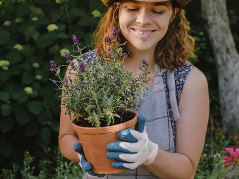 Frau mit Lavendel