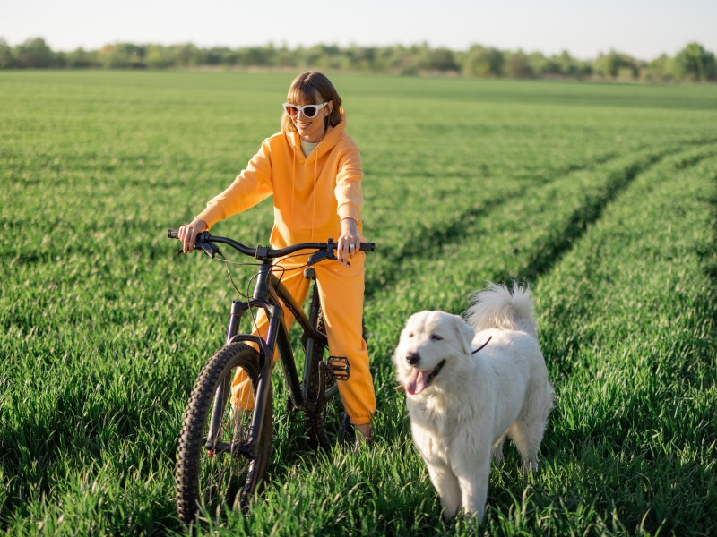 Radfahren mit Hund