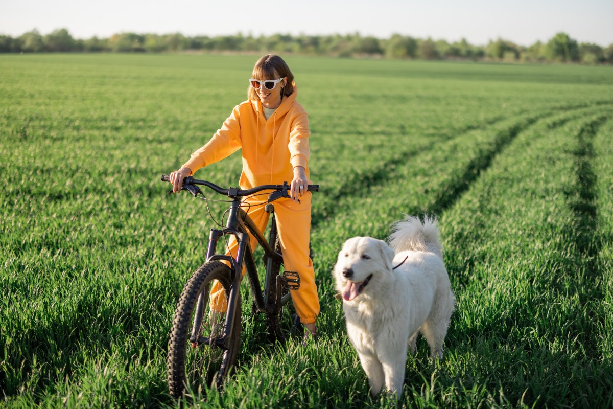 Radfahren mit Hund