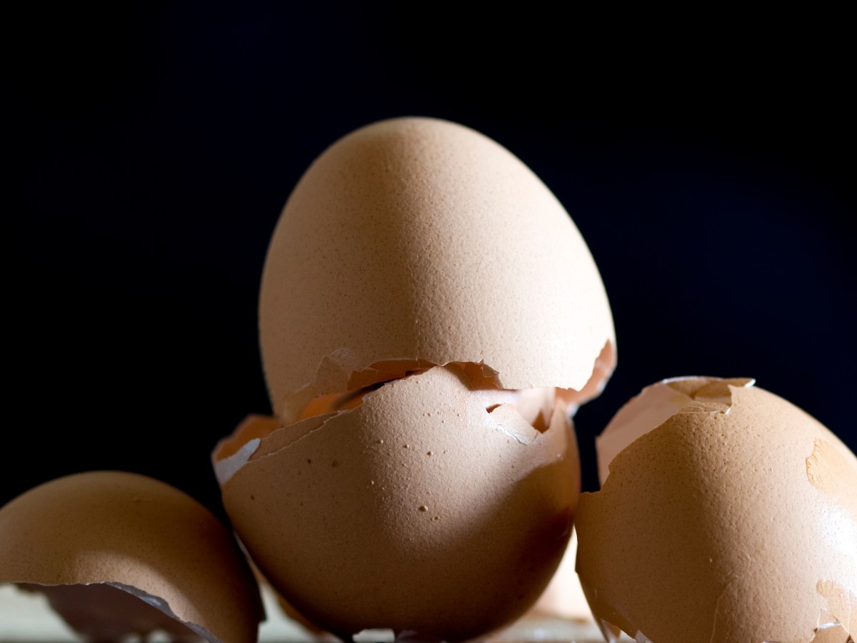 Eierschalen nicht wegwerfen: 5 Dinge, die du daraus noch machen kannst
