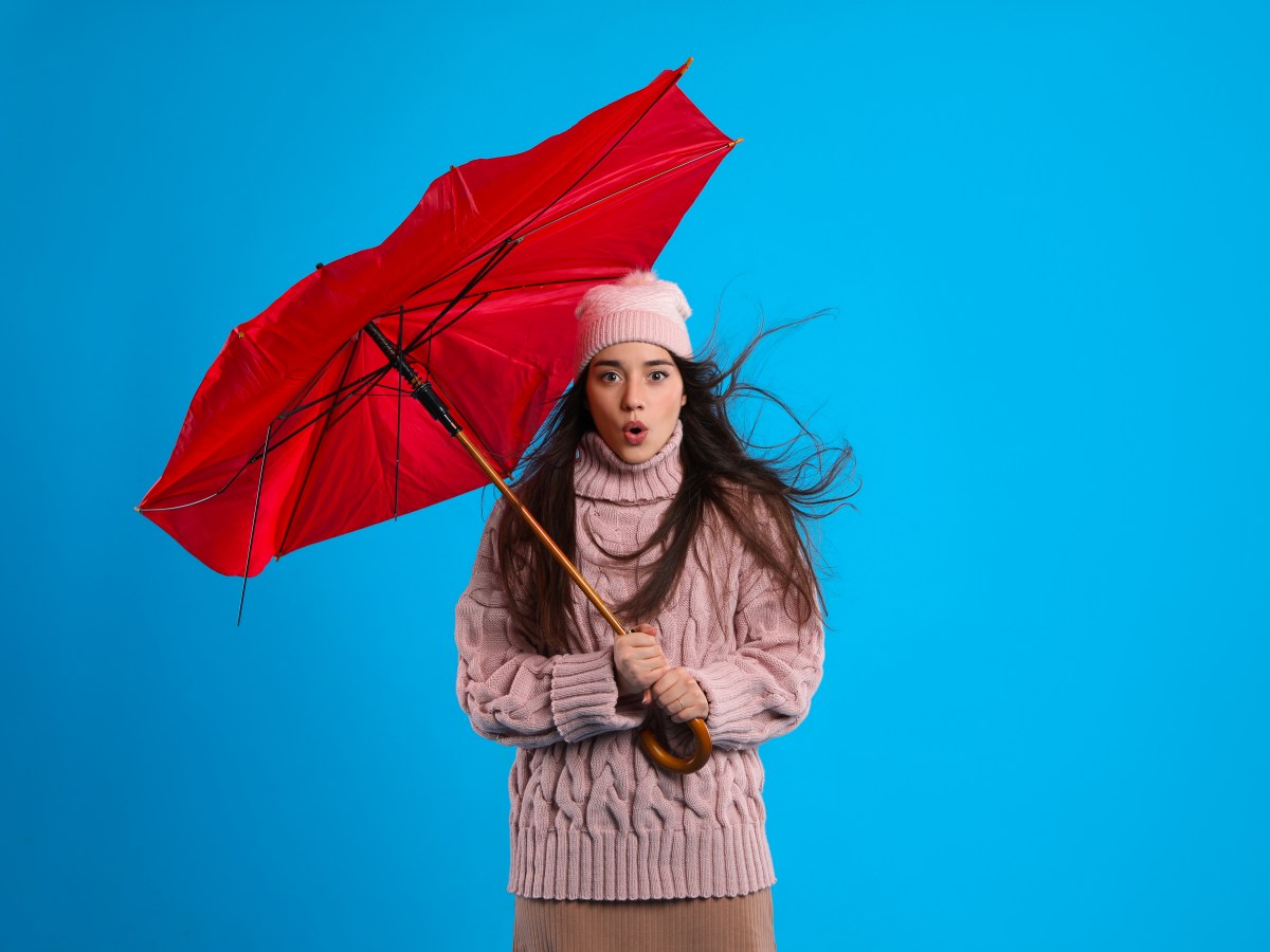 Alte Regenschirme upcyclen: Diese 3 tollen Sachen kannst du daraus basteln