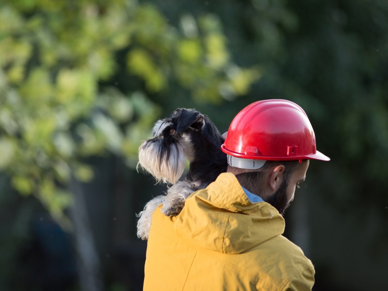 Notfallkarte Haustier Feuerwehr