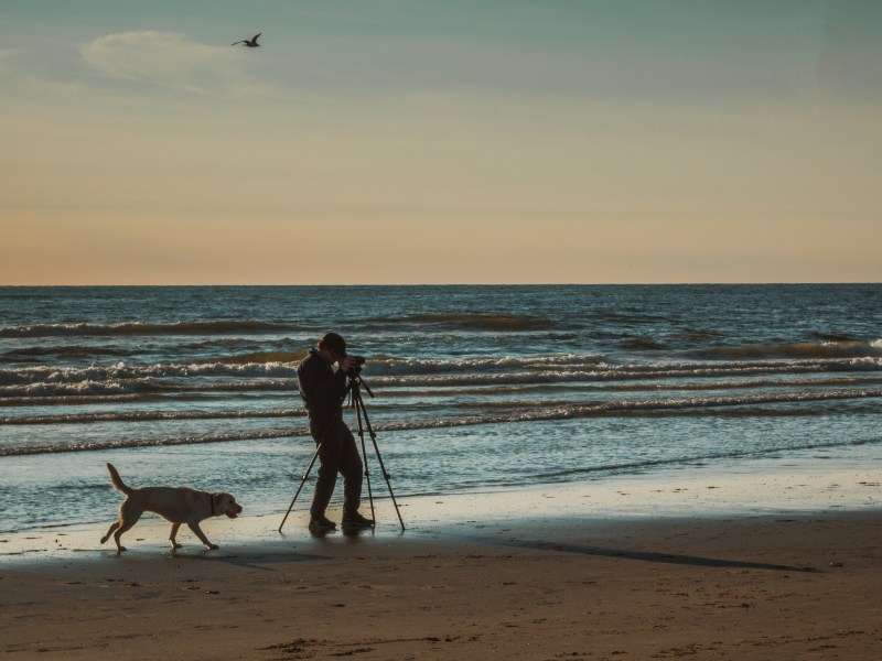 Fotograf mit Hund