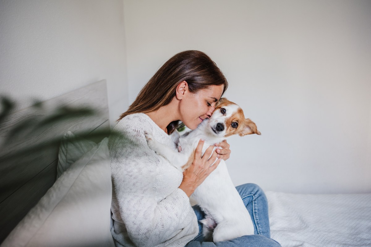 Kuscheln mit Welpen