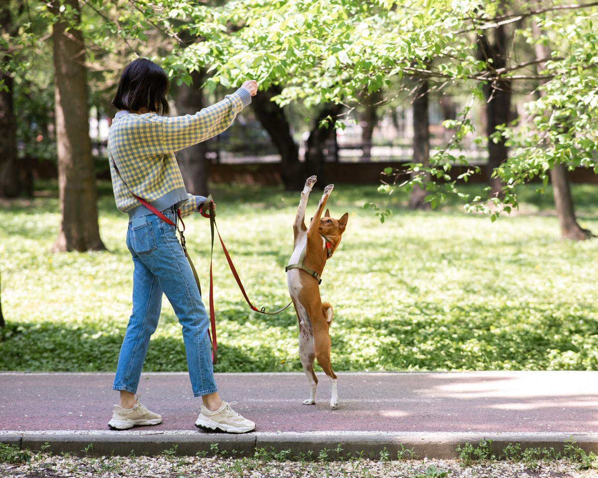 Frau bringt Hund Trick bei