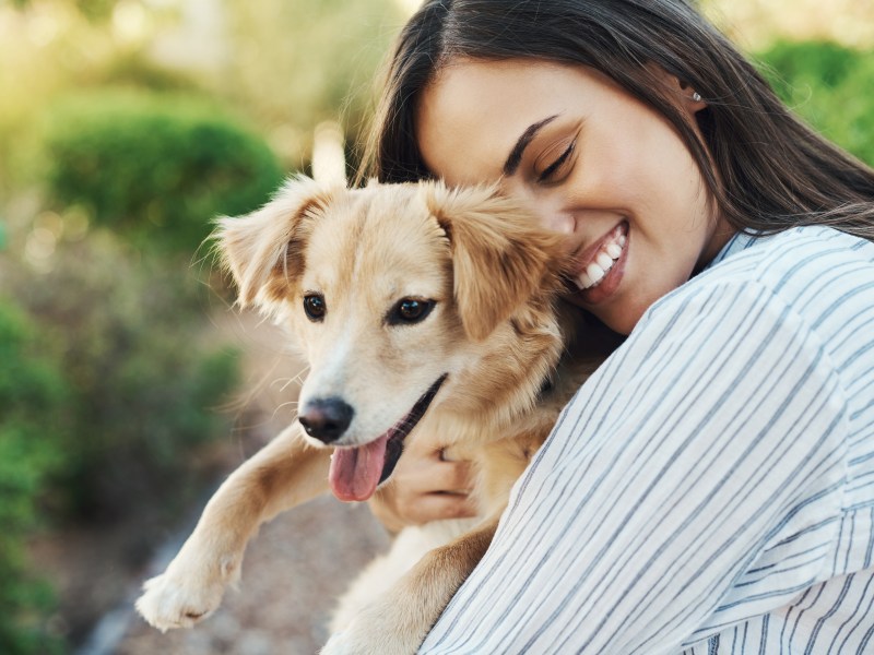 Hundewelpe Tierschutz