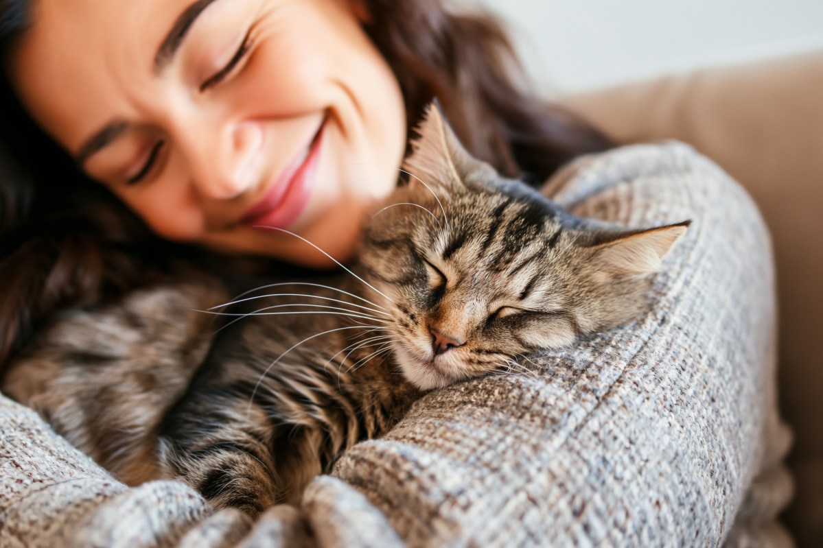 Katze schmust mit Frau