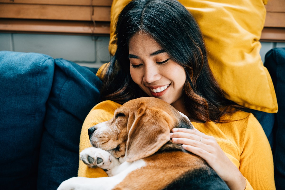 Hund aus dem Tierschutz AnfÃ¤nger