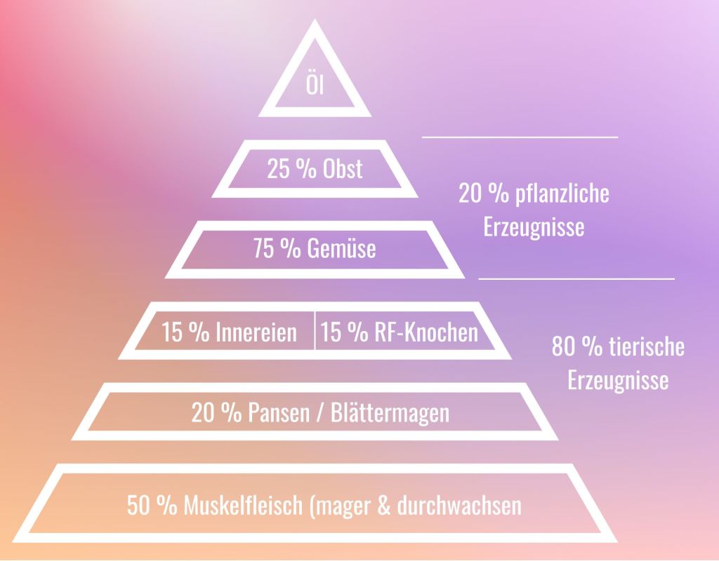 Futterpyramide