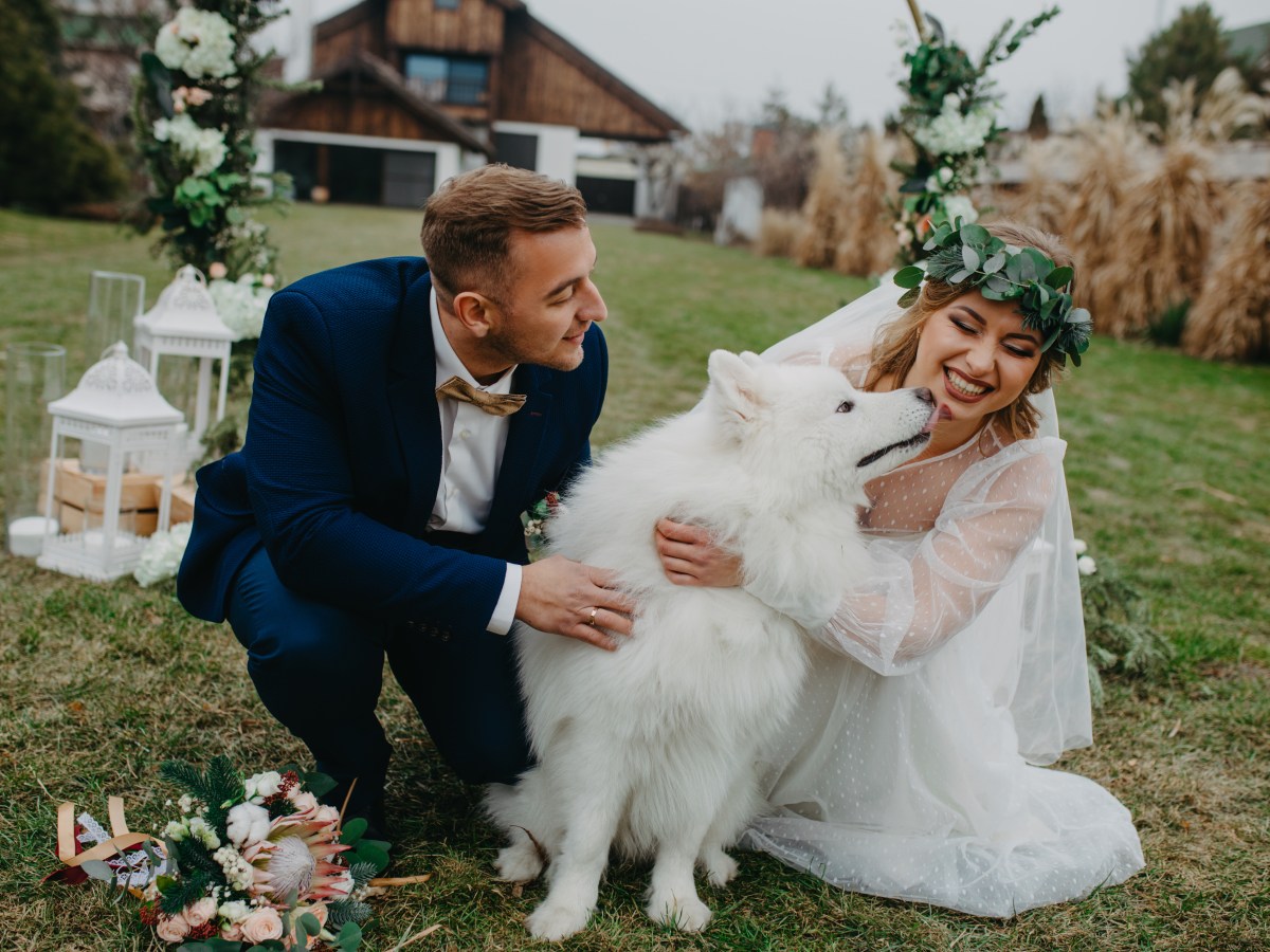 Mit diesem genialen Trick schafft dein Hund auf deiner Hochzeit unvergessliche Erinnerungen