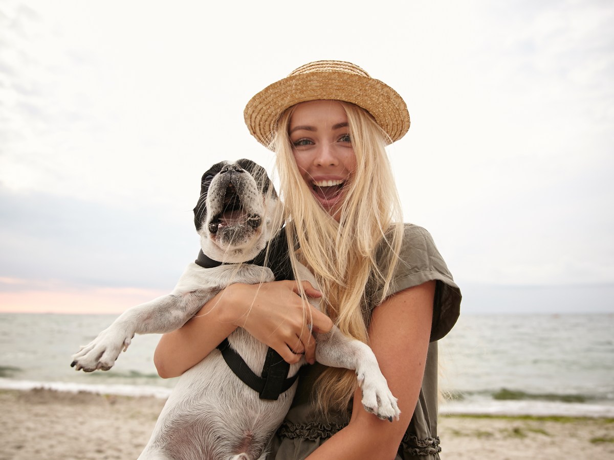 Hund: Mit dem Hund an die Ostsee? 3 Gründe, warum das eine gute Idee ist