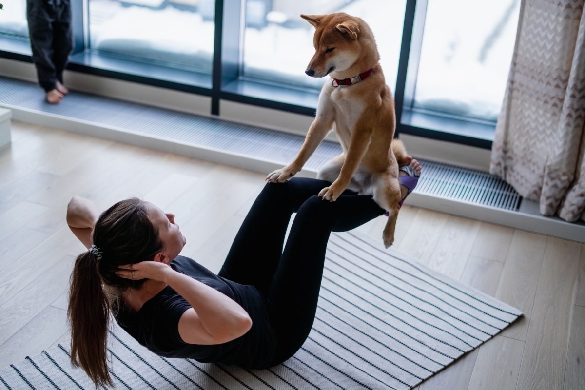 Hund macht Sport mit Frau