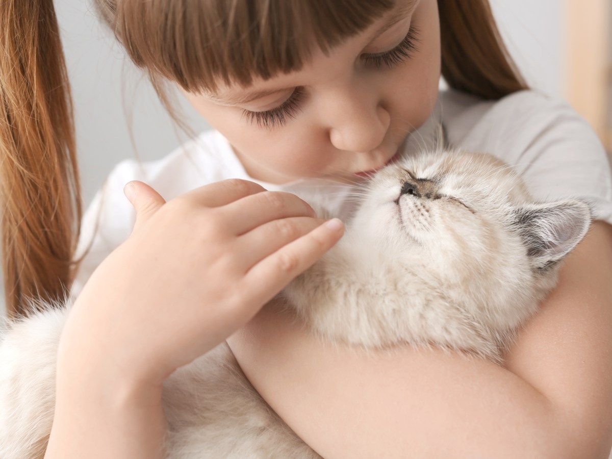 Forschung an Katzen führt zu bahnbrechender Gentherapie bei Kindern